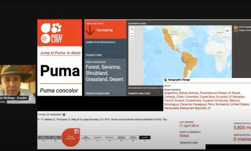 Captura de pantalla 2025-07-15 194152
