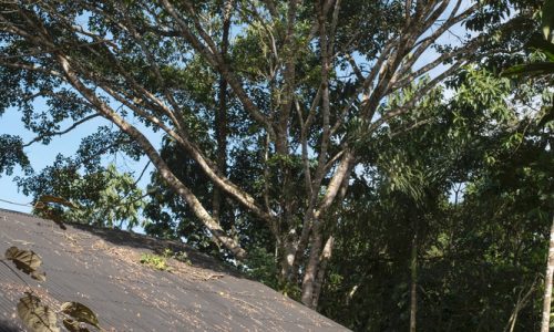 casa-manire-martin-dulanto-plus-puna-estudio_2