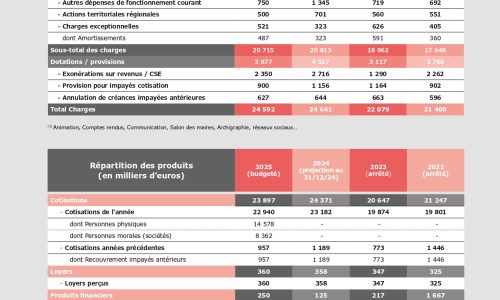 rapport activité CNOA 2025-28_08-WEB[1] (1)_page-0014