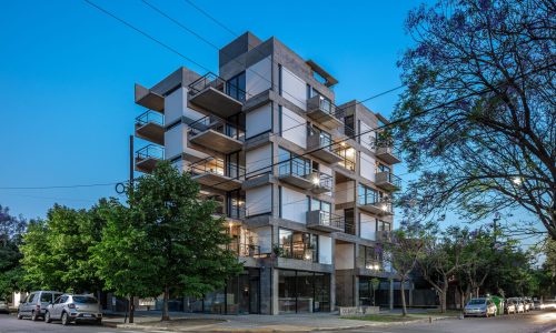 Diorella Fortunatifile.jpeg1 Diorella Fortunatifile.jpeg1