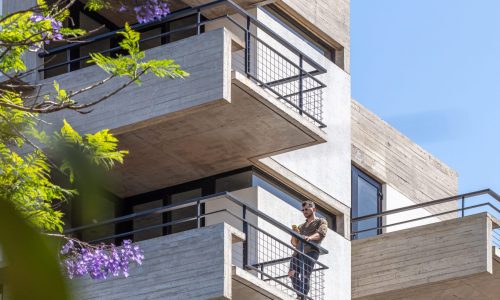 Diorella Fortunatifile.jpeg2 Diorella Fortunatifile.jpeg2