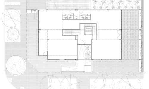 Diorella Fortunatifile.jpeg5 Diorella Fortunatifile.jpeg5