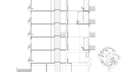 Diorella Fortunatifile.jpeg7 Diorella Fortunatifile.jpeg7