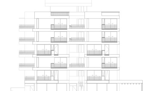 Diorella Fortunatifile.jpeg8 Diorella Fortunatifile.jpeg8