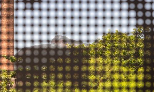 LMF©-Terminal-Intermodal-Gentileza-TIG-68-1